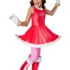 Girls' Sonic The Hedgehog Amy Rose Costume Set