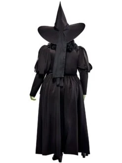 Women's Plus Size The Wizard Of Oz Wicked Witch Costume 7 Women's Plus Size The Wizard Of Oz Wicked Witch Costume -Costume Supercenter Store 1001936 3