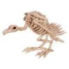 Skeleton Vulture Prop