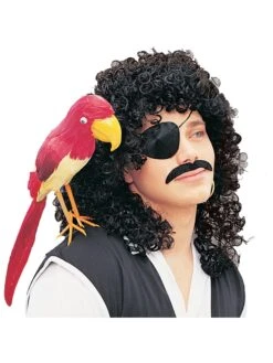 Adult Black Wild Curly Wig