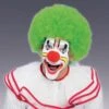 Adult Green Afro Wig