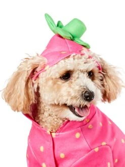 Sweet Strawberry Hoodie Pet Costume 5 Sweet Strawberry Hoodie Pet Costume -Costume Supercenter Store 3000233 3