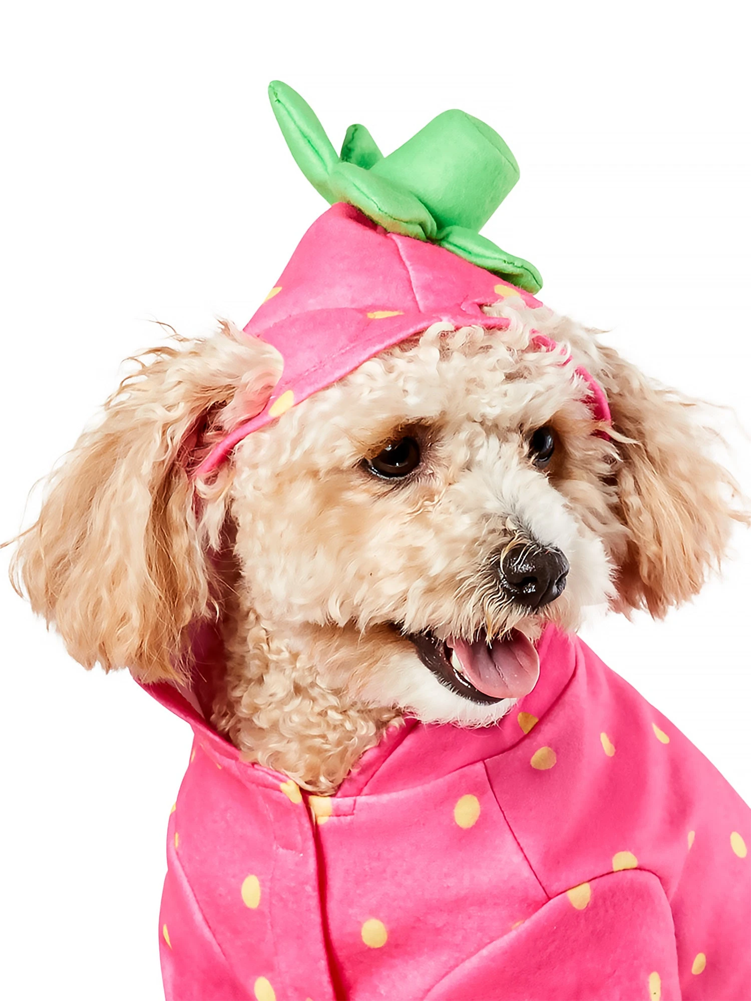 Sweet Strawberry Hoodie Pet Costume 3 Sweet Strawberry Hoodie Pet Costume - Image 3