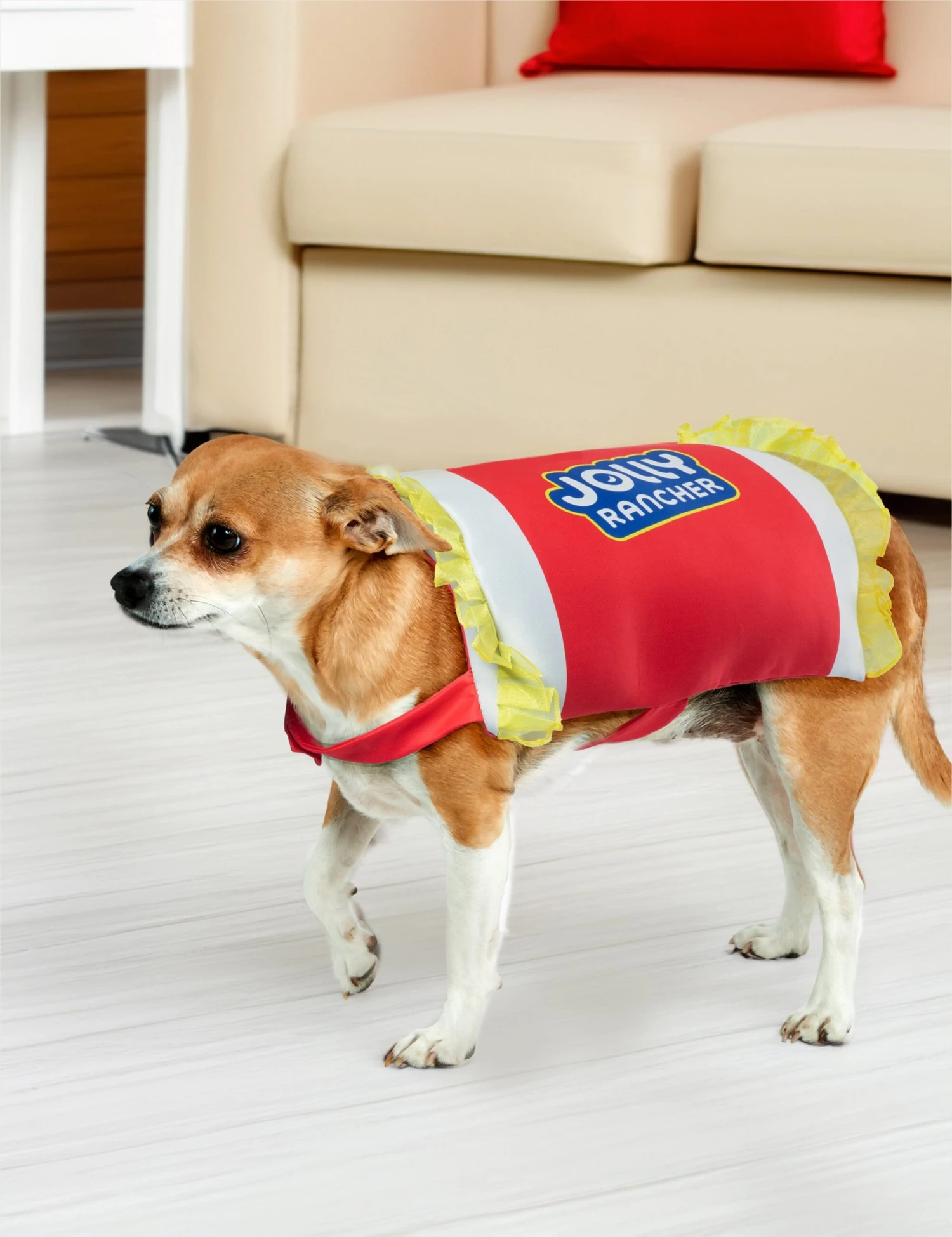Cherry Jolly Rancher Pet Costume 3 Cherry Jolly Rancher Pet Costume - Image 3