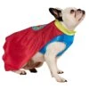 Superhero Pet Costume