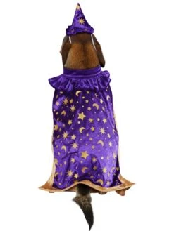 Wizard Pet Costume 6 Wizard Pet Costume -Costume Supercenter Store 3000381 3