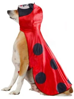 Ladybug Pet Costume 6 Ladybug Pet Costume -Costume Supercenter Store 3000383 3