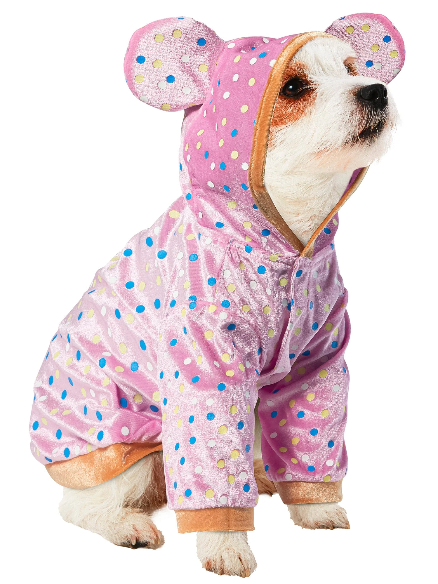 Animal Cookie Pet Costume 1 Animal Cookie Pet Costume