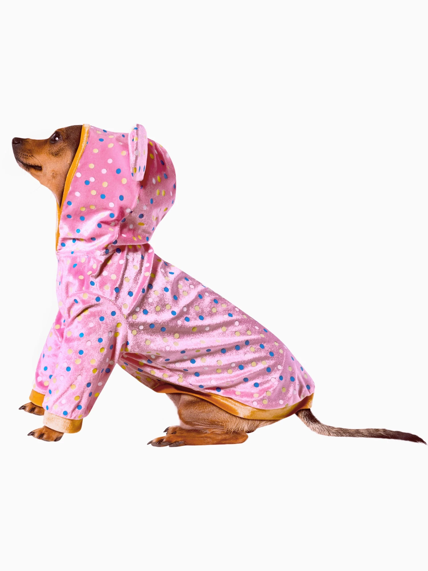 Animal Cookie Pet Costume 3 Animal Cookie Pet Costume - Image 3