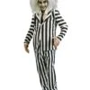 Beetlejuice Adult Costume