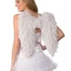 Feather Angel Wings Set