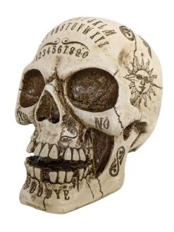 7-inch Spirit Resin Skull Prop