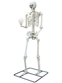 10 Foot Light Up Colossal Skeleton Standing Decoration