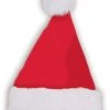 Santa Plush Hat