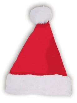 Santa Plush Hat