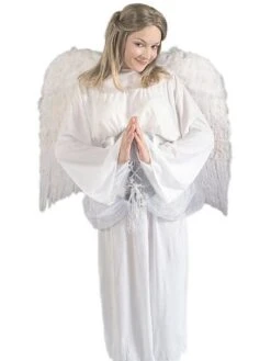 Adult White 36-inch Deluxe Feather Wings