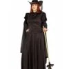 Women's Plus Size Black Classic Witch Costume