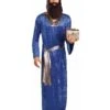 Men's Blue Wiseman Costume