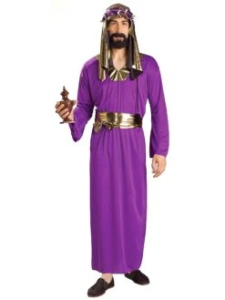 Men's Purple Wiseman Costume