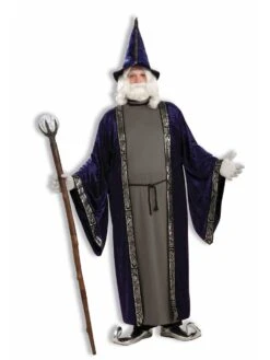 Plus SizePlus Size Wizard Costume