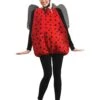 Lady Bug Adult Costume