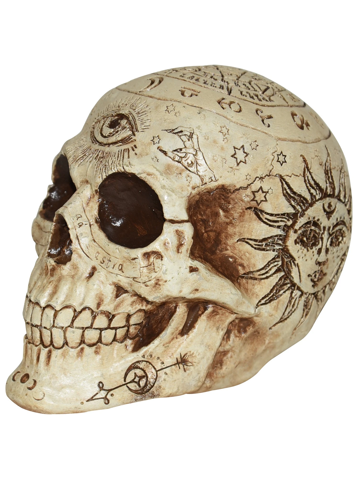 7-inch Fortune Telling Skull Decoration 1 7-inch Fortune Telling Skull Decoration