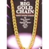 Adult Gold Chain Necklace