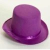 Adult Purple Classic Top Hat