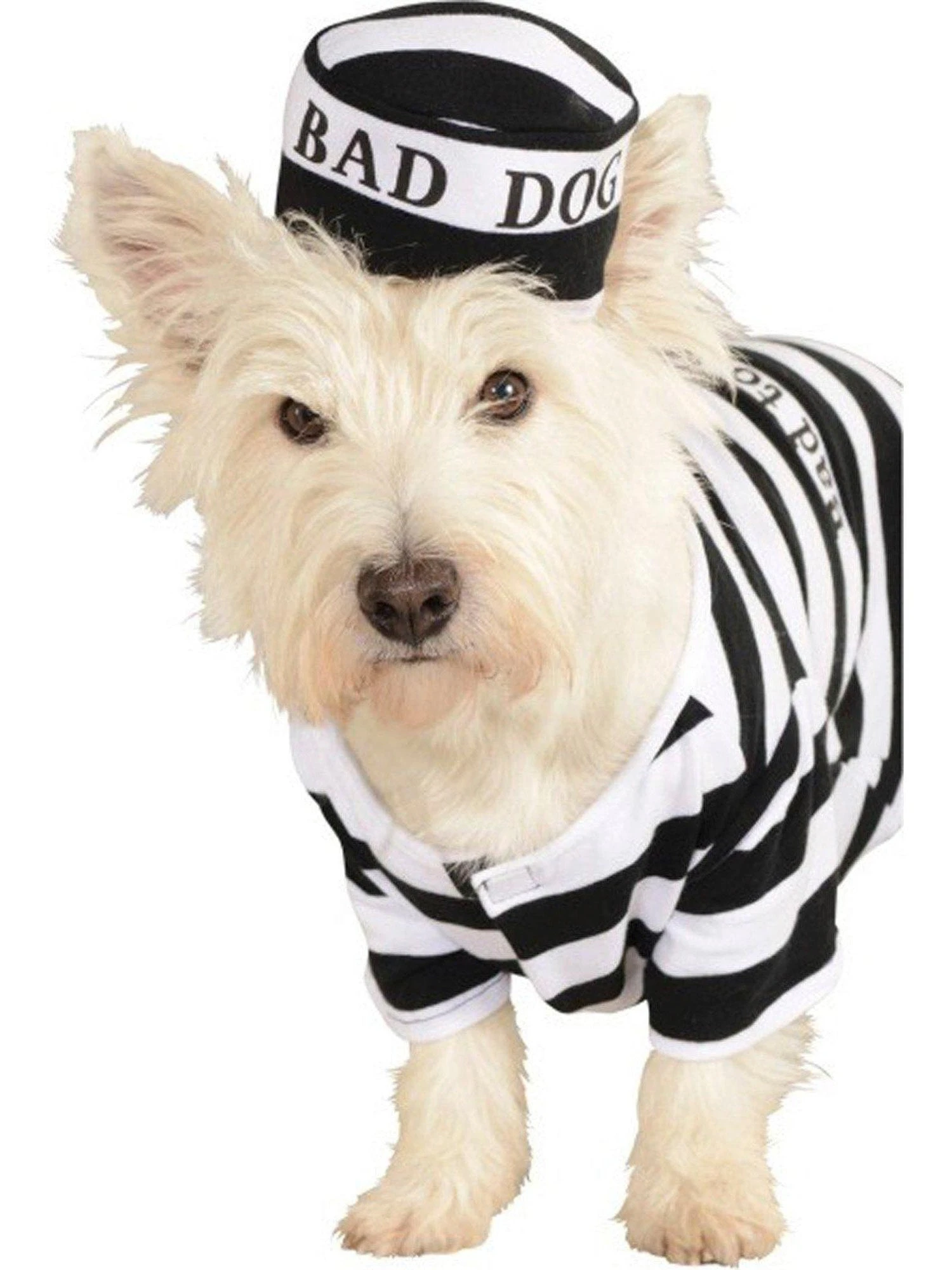 Bad Dog Prisoner Pet Costume 1 Bad Dog Prisoner Pet Costume