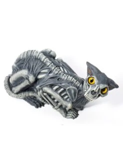 Zombie Skeleton Cat