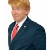 Mr. Billionaire President Wig