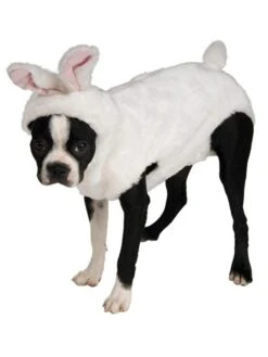 White Fluffy Bunny Pet Costume