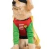 Teen Titans Robin Pet Costume