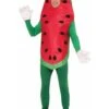 Adult Watermelon Costume