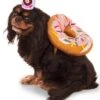 Donut And Coffee Pet Costume