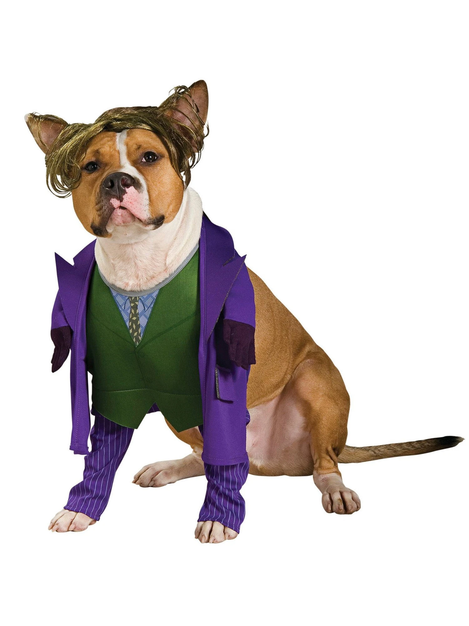 DC Comics Joker Pet Costume 1 DC Comics Joker Pet Costume