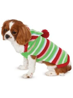 Candy Striped Sweater Pet Costume