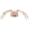 40" Skeleton Spider