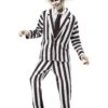 Beetlejuice Deluxe Adult Costume