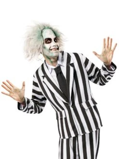 Beetlejuice Deluxe Adult Costume -Costume Supercenter Store 888736 v2 2
