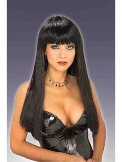 Shiny Black Synthetic Wig