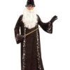 Mens Oh Mr. Wizard Costume