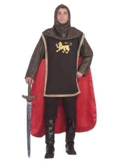 Noble Knight Costume For Men!