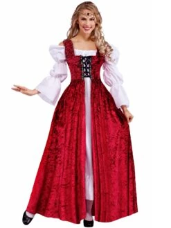 Womens Medieval Lady Lace Up Over Gown Adult Costume