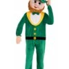 Mens Leprechaun Mascot Costume