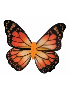 Adult Monarch Butterfly Wings