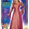 Women's Arabian Queen Costume