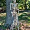 60-inch Posable Skeleton