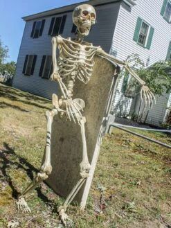 60-inch Posable Skeleton -Costume Supercenter Store f77622 3