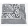 Silver Bandana